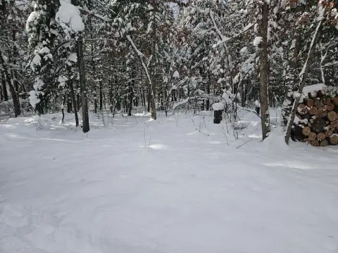 Wooded Land Near State Land