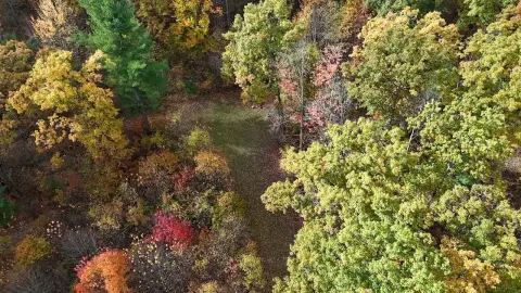 79 Acres Hunting and Recreational Land