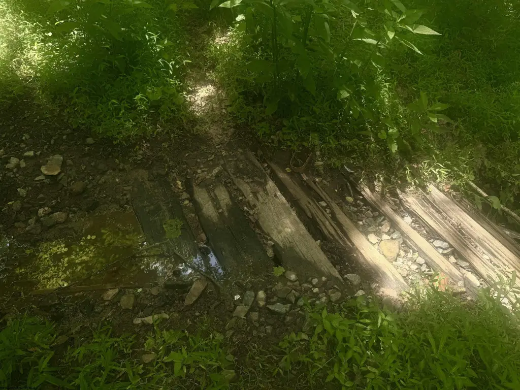 Picture 12