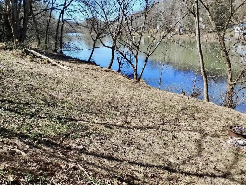 Picture 8