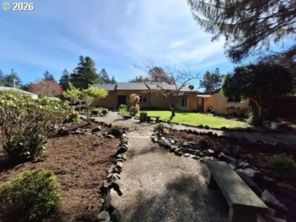 Picture 5
