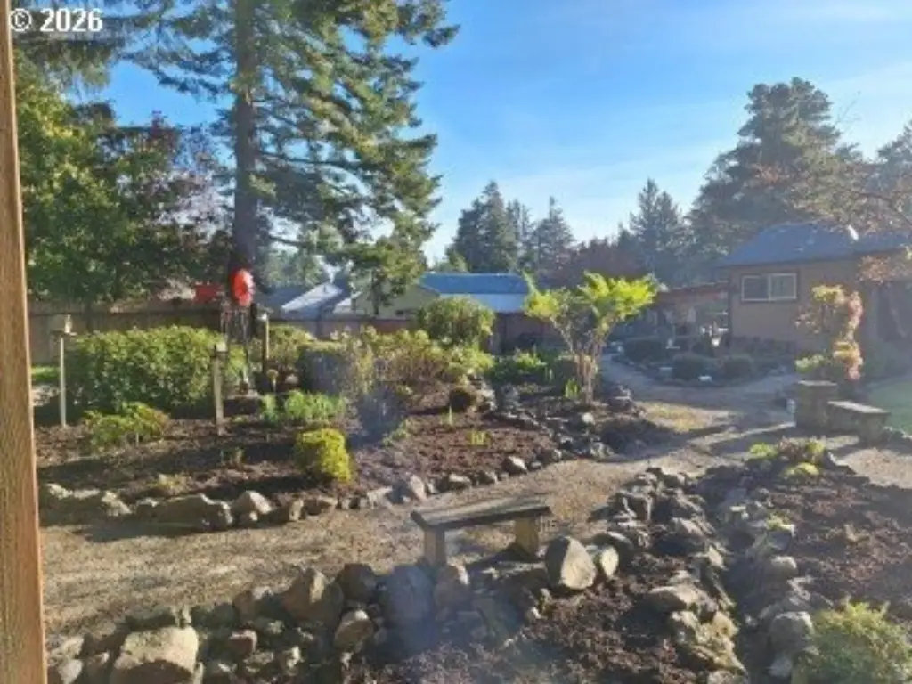 Picture 14