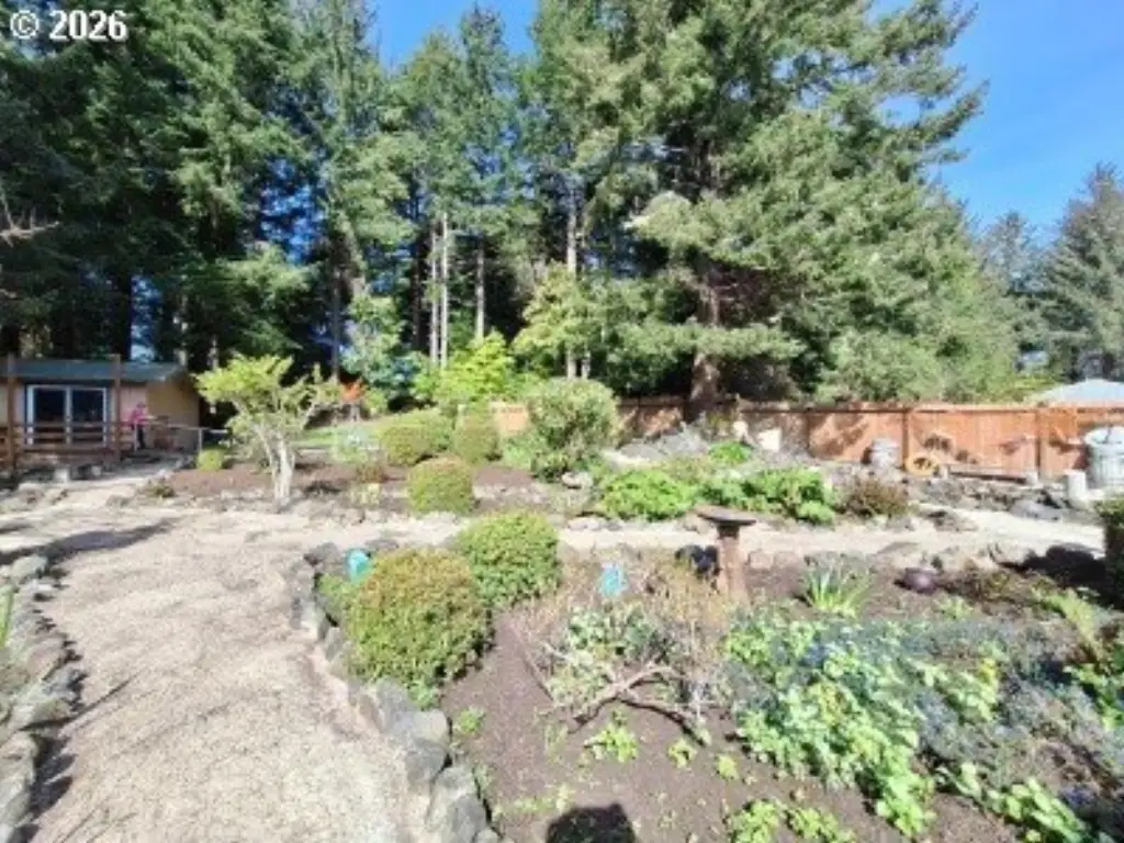 Picture 11