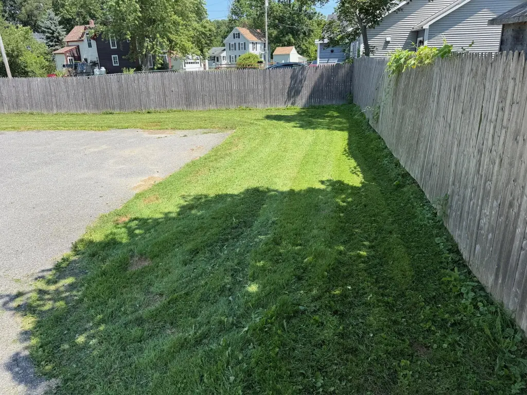 Picture 24