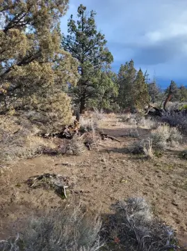 Land with Mt. Shasta View
