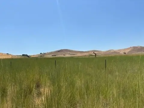 40 Acres Land in Montague