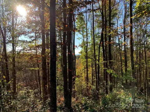 Residential Land in Lenoir, NC