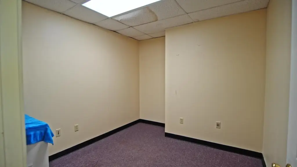 Picture 19
