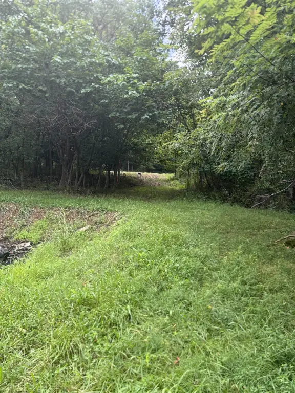 Picture 3