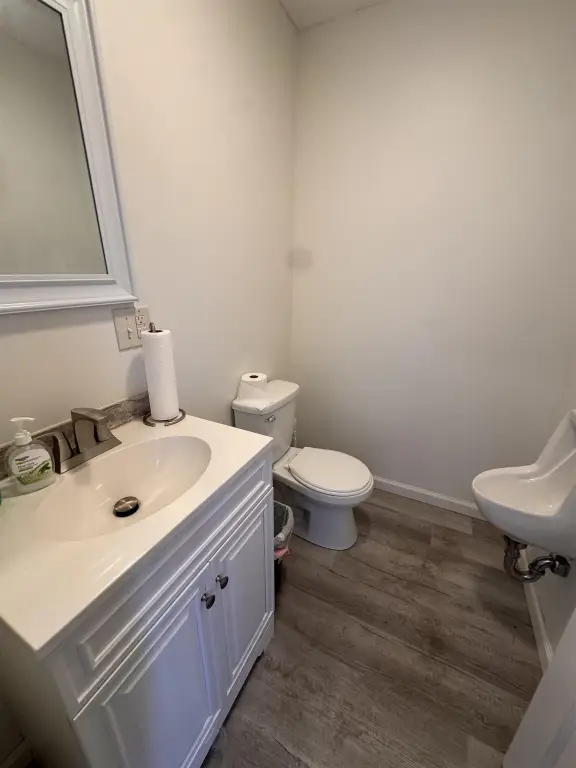 Picture 5