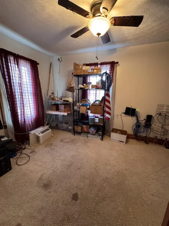 Picture 12