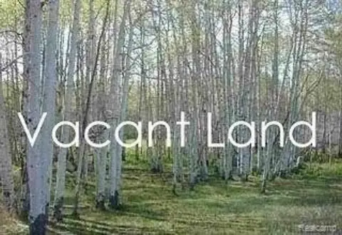 Picture of Land at Wayne Rd 6130, Romulus, MI