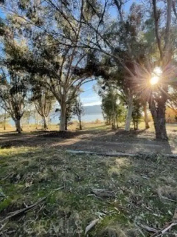 Picture 11