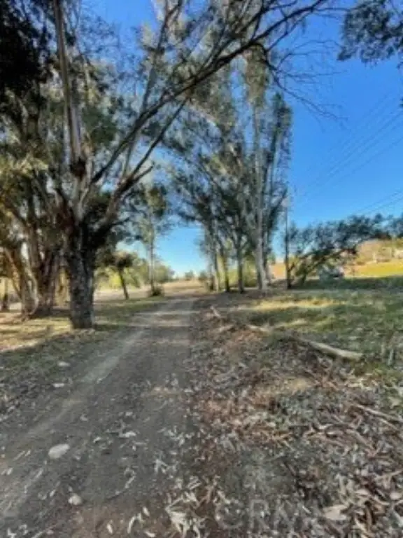 Picture 15