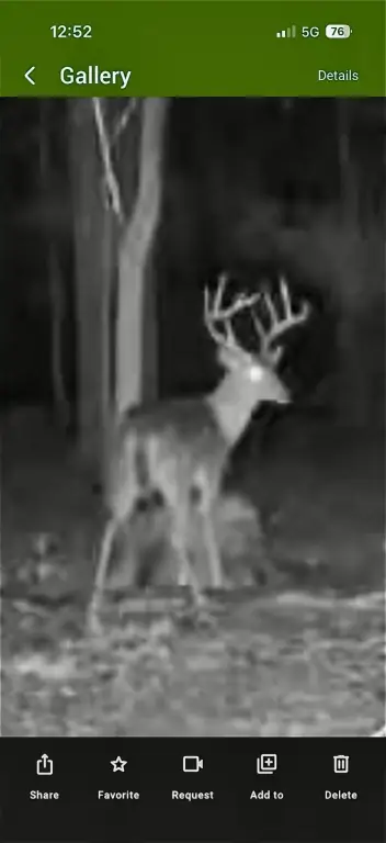 Picture 12