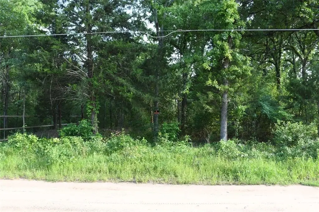 Picture 16