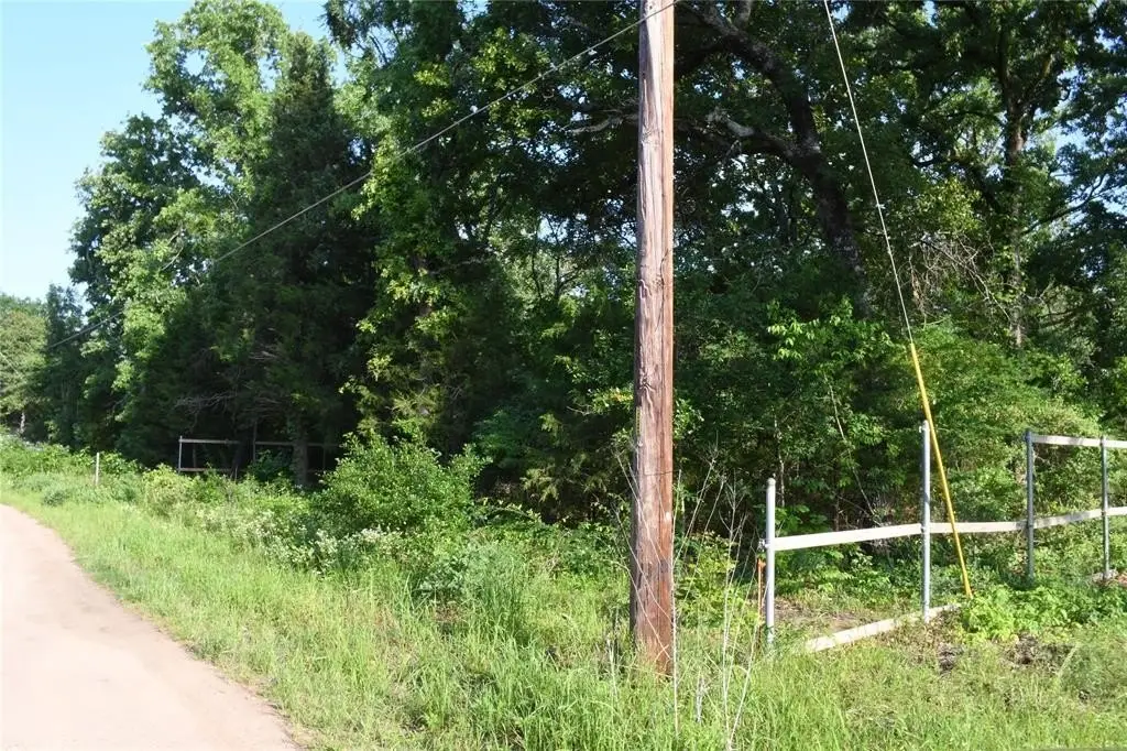 Picture 14