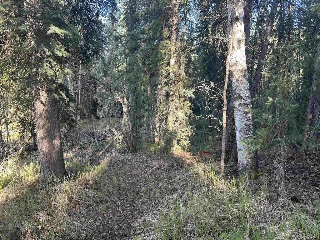 Picture 6