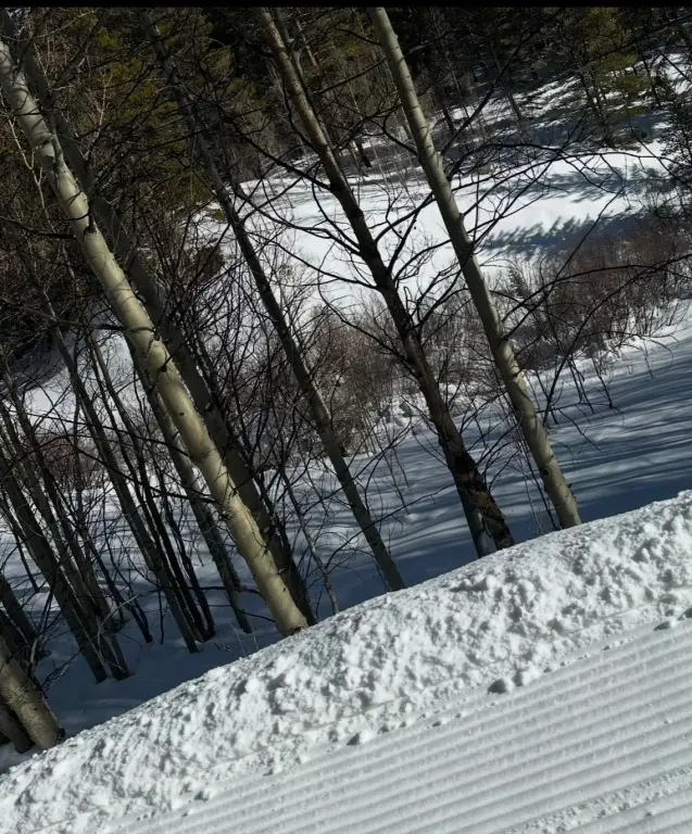 Picture 5