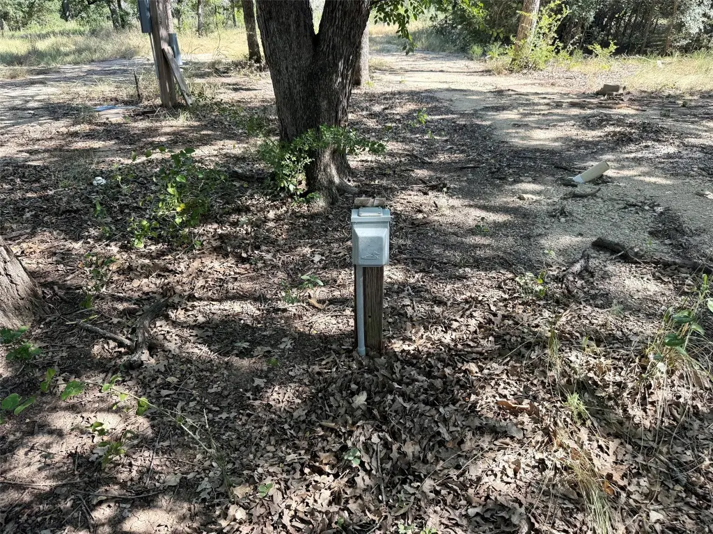 Picture 25