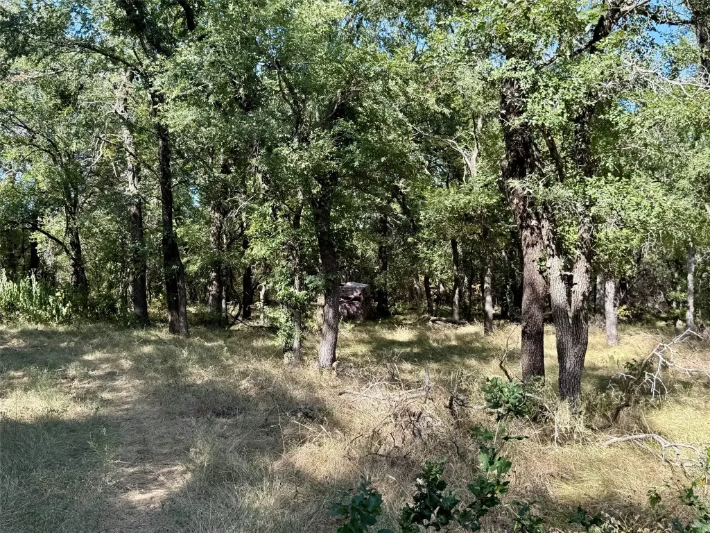 Picture 26