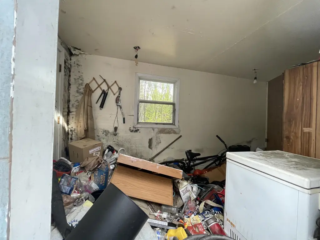 Picture 19