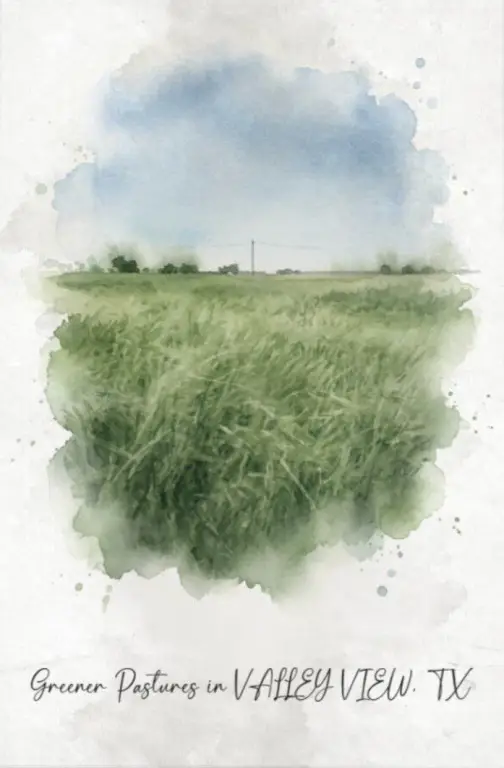 Picture 4