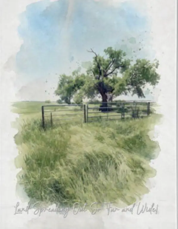 Picture 8
