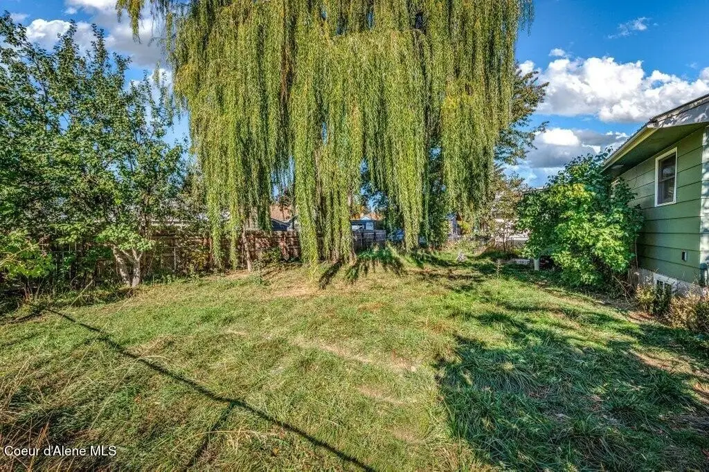 Picture 21
