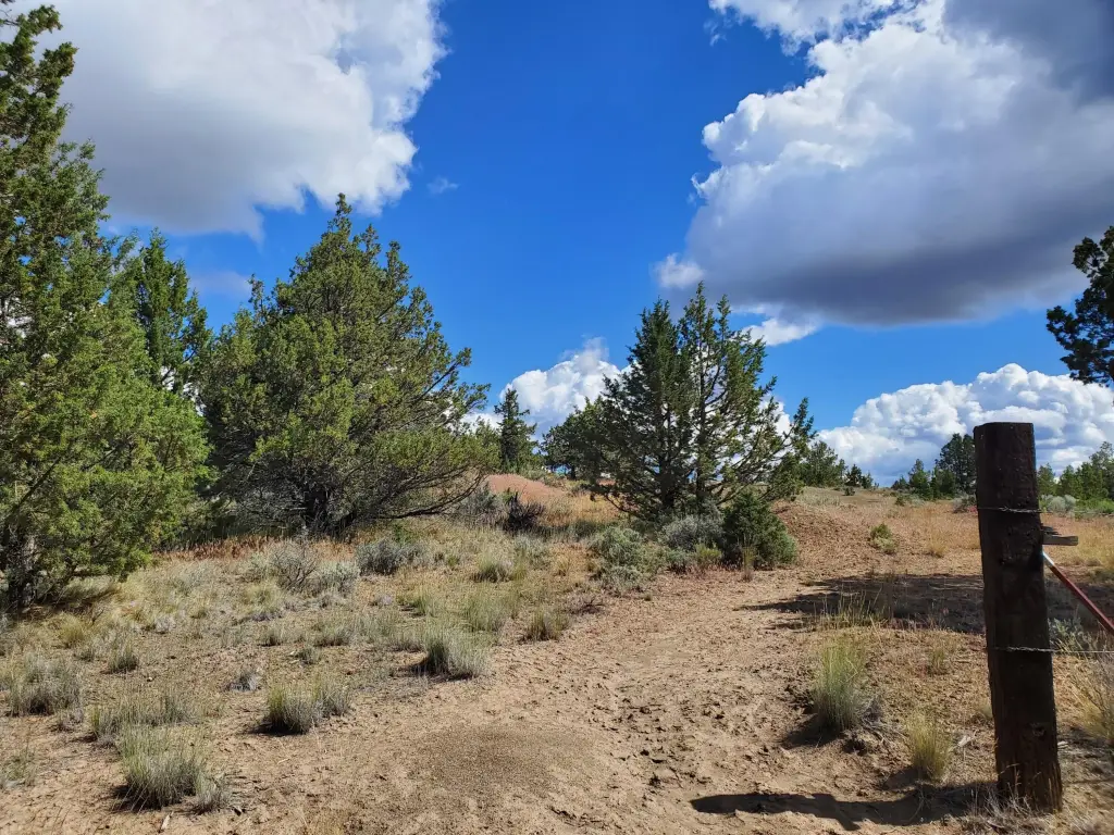 Picture 16