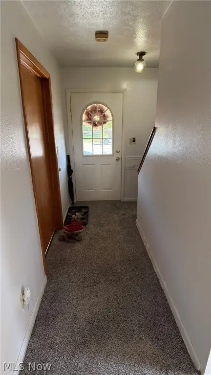 Picture 19