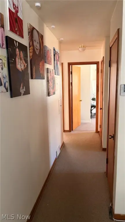 Picture 24