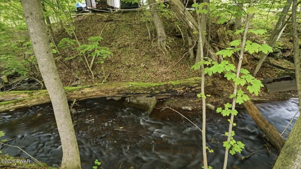 Picture 45