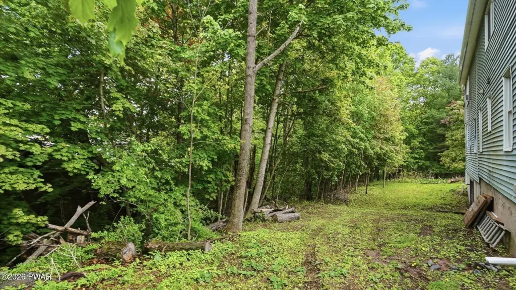 Picture 43