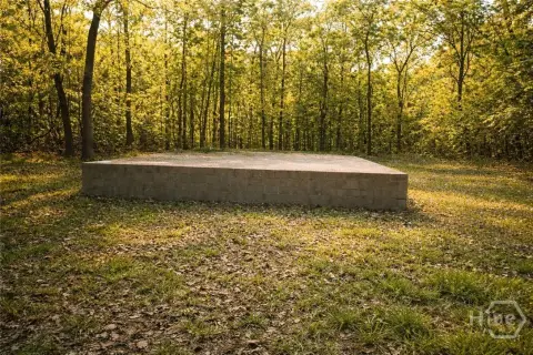 Wooded Land Near Coffee Bluff