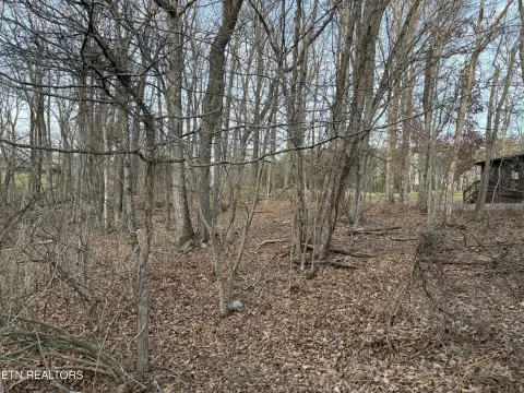 Fairfield Glade Buildable Lot