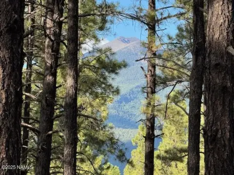 Flagstaff Land with Mountain Views