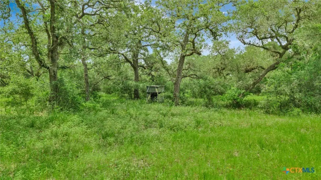 Picture 12