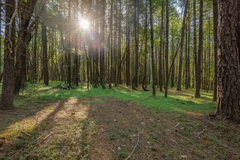 Wilderville Residential Land For Sale