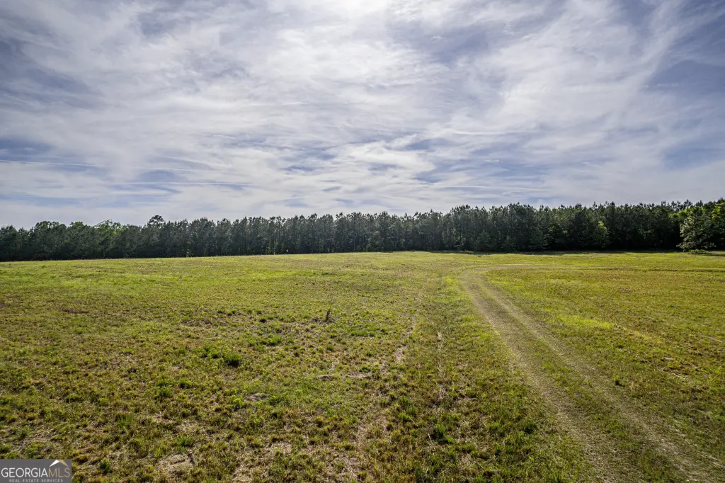 Picture 11