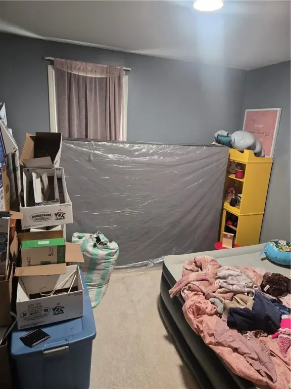 Picture 24