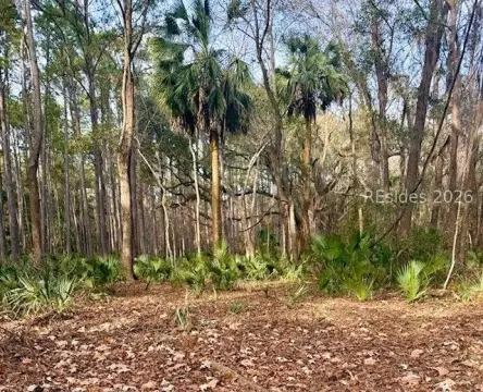 Daufuskie Island Land Opportunity