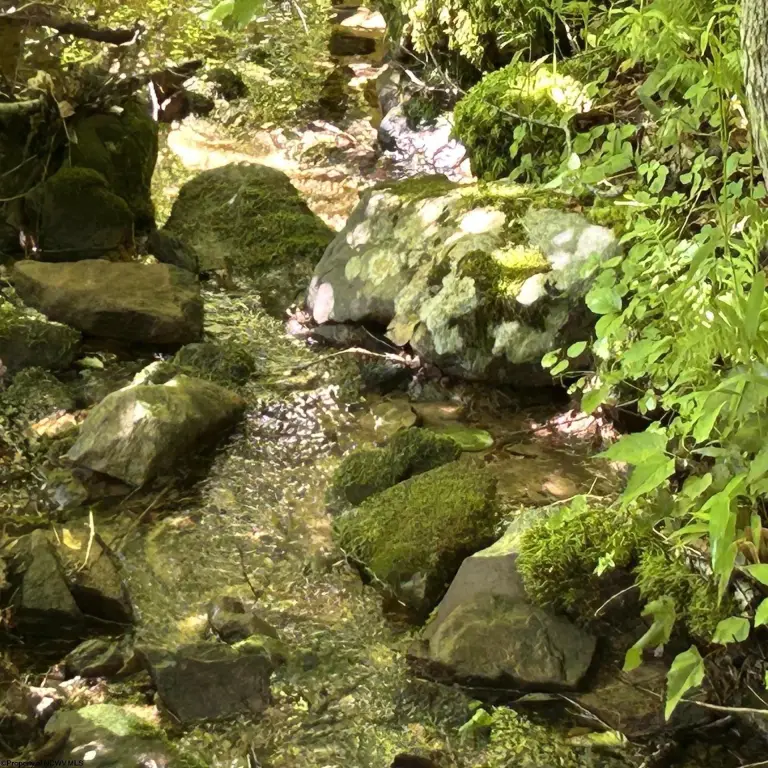 Picture 16
