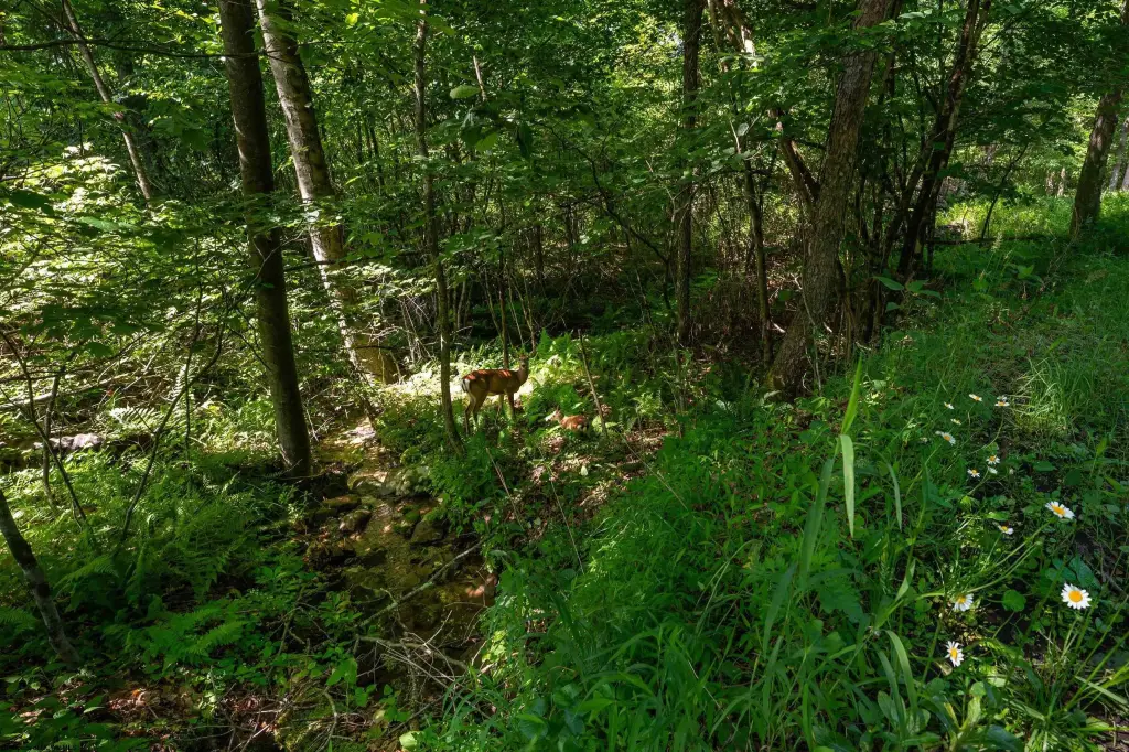 Picture 19
