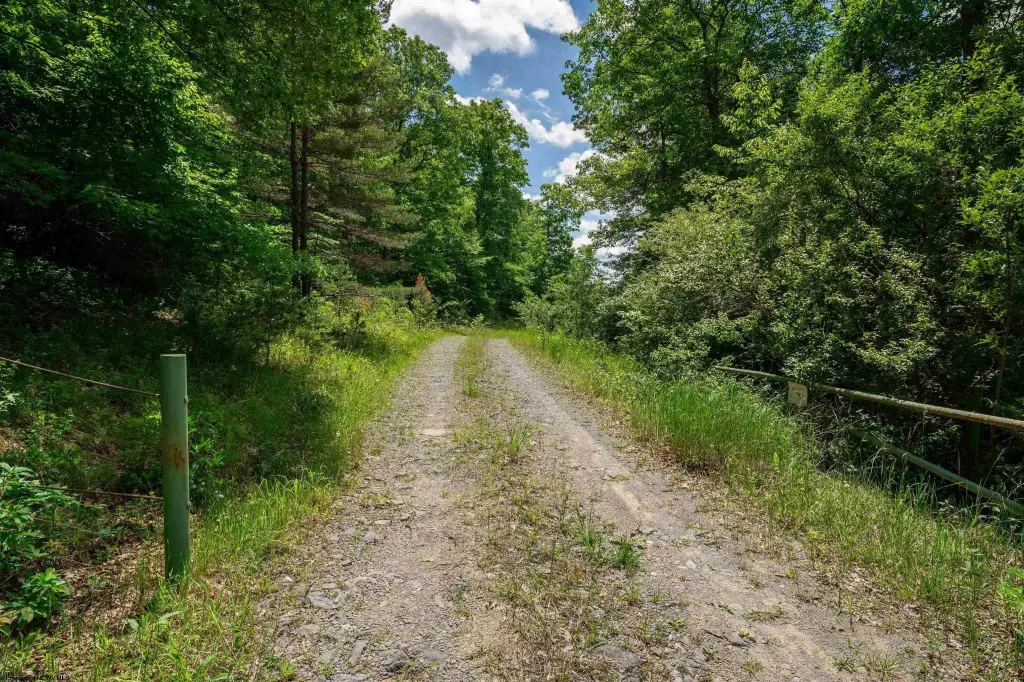 Picture 25