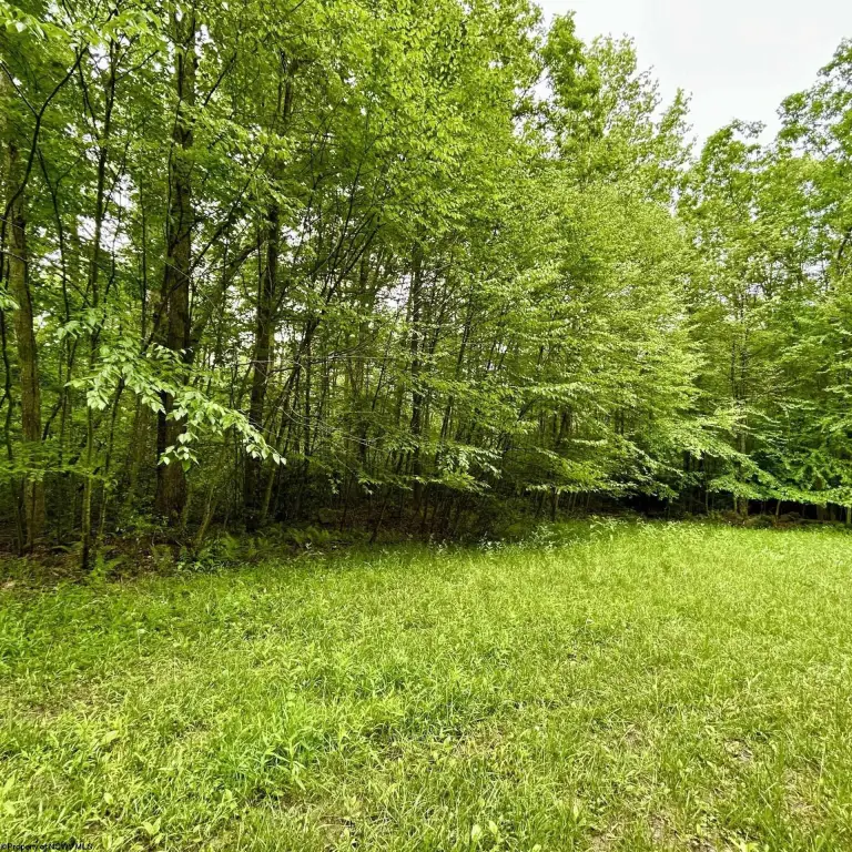 Picture 28