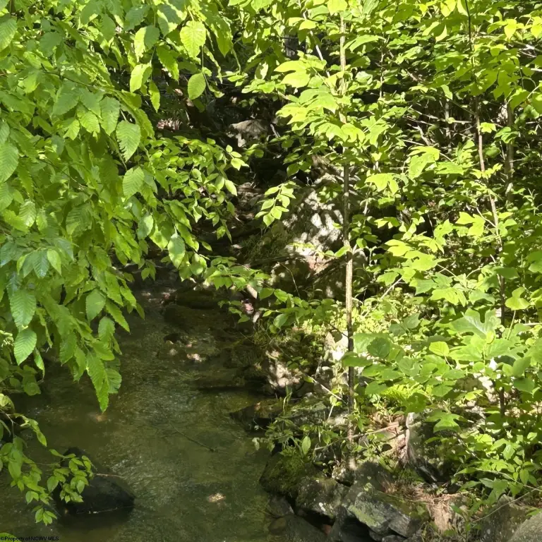 Picture 9