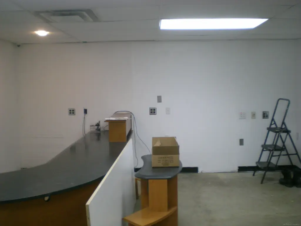 Picture 19