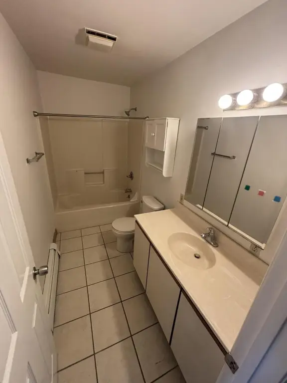 Picture 12