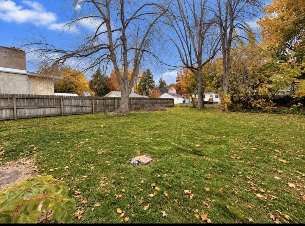 Picture 6